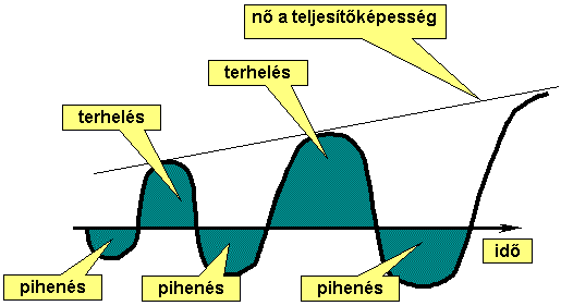 fokozott izom állóképesség)