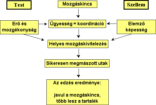 osteoarthritis térdgyulladás bokaízület betegségeinek kezelése