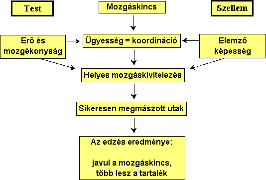 fokozott fizikai állóképesség)