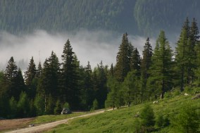 Panorama from the hut.